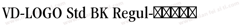 VD-LOGO Std BK Regul字体转换